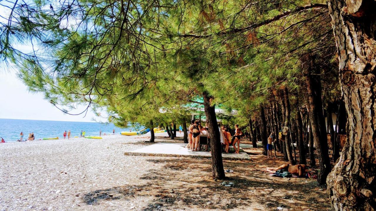 Ковчег Lidzava Dış mekan fotoğraf