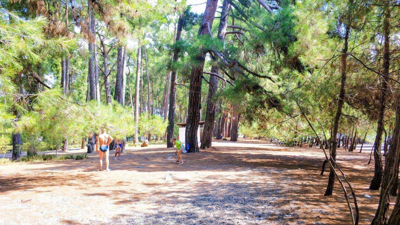 Ковчег Lidzava Dış mekan fotoğraf